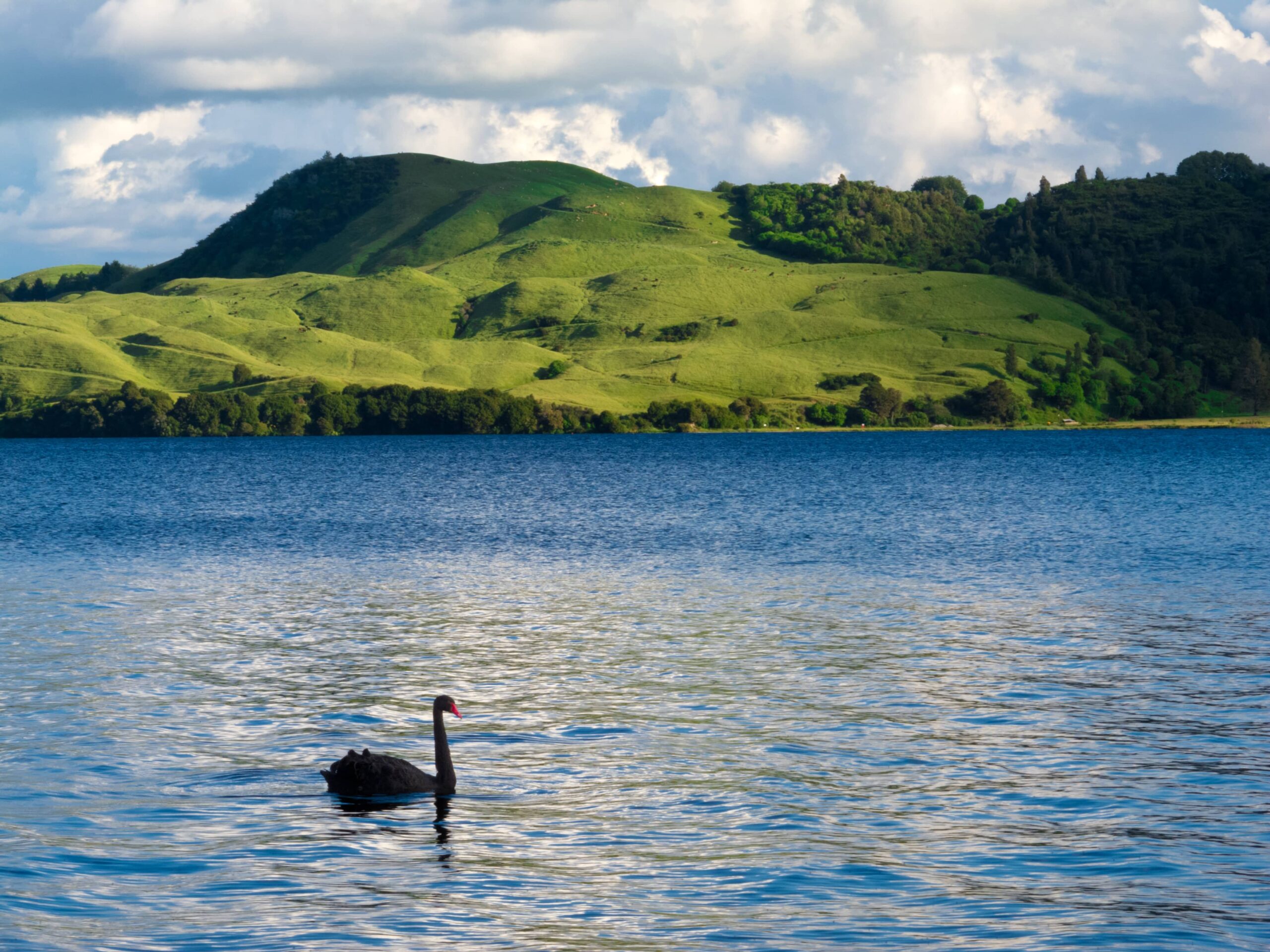 Explore the Blue Lake (Warwar) – 5 mins drive from Arkana